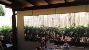 tenda da sole in cristal e acrilico per veranda con movimento a manovella RIF: SE88