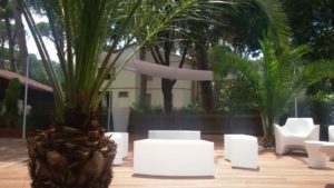 tende da sole a vela per locale RIF: TS192