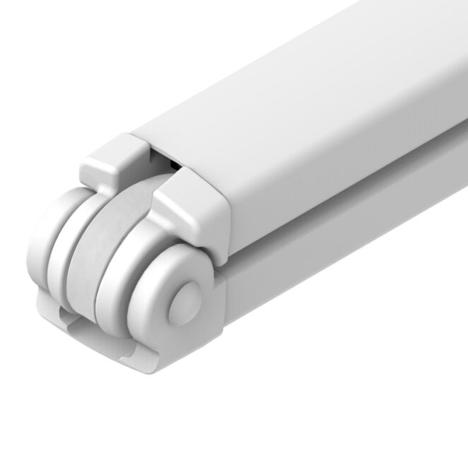 gomito del braccio Balteus